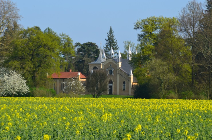 Das Gotische Haus im Wörlitzer Park hinter einem blühenden Rapsfeld