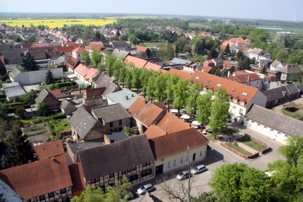 Blick über die roten Dächer von Wörlitz, im Hintergrund Felder